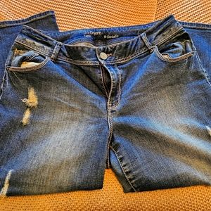 Lane Bryant GeniusFit Capri